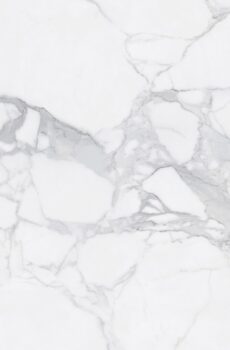 Calacatta 50x50