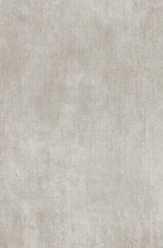 Cardenale gris 51x51